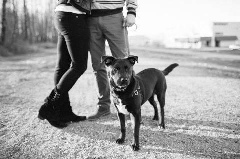 PittMeadowsEngagementPhotographer16