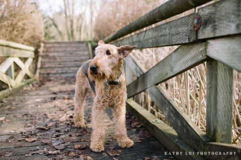 Vancouver-Fraser-River-Park02