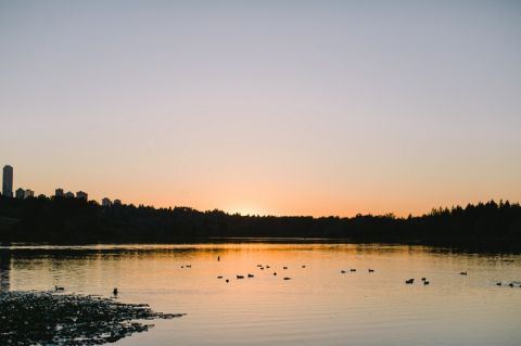 Kathy Lui Photography