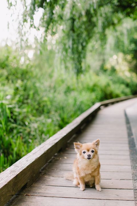 Kathy Lui Photography